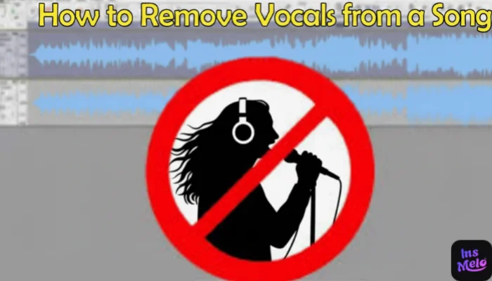 how to remove vocal from a song